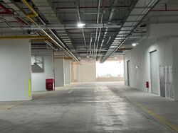 Ct Foodnex (D25), Factory #509041211